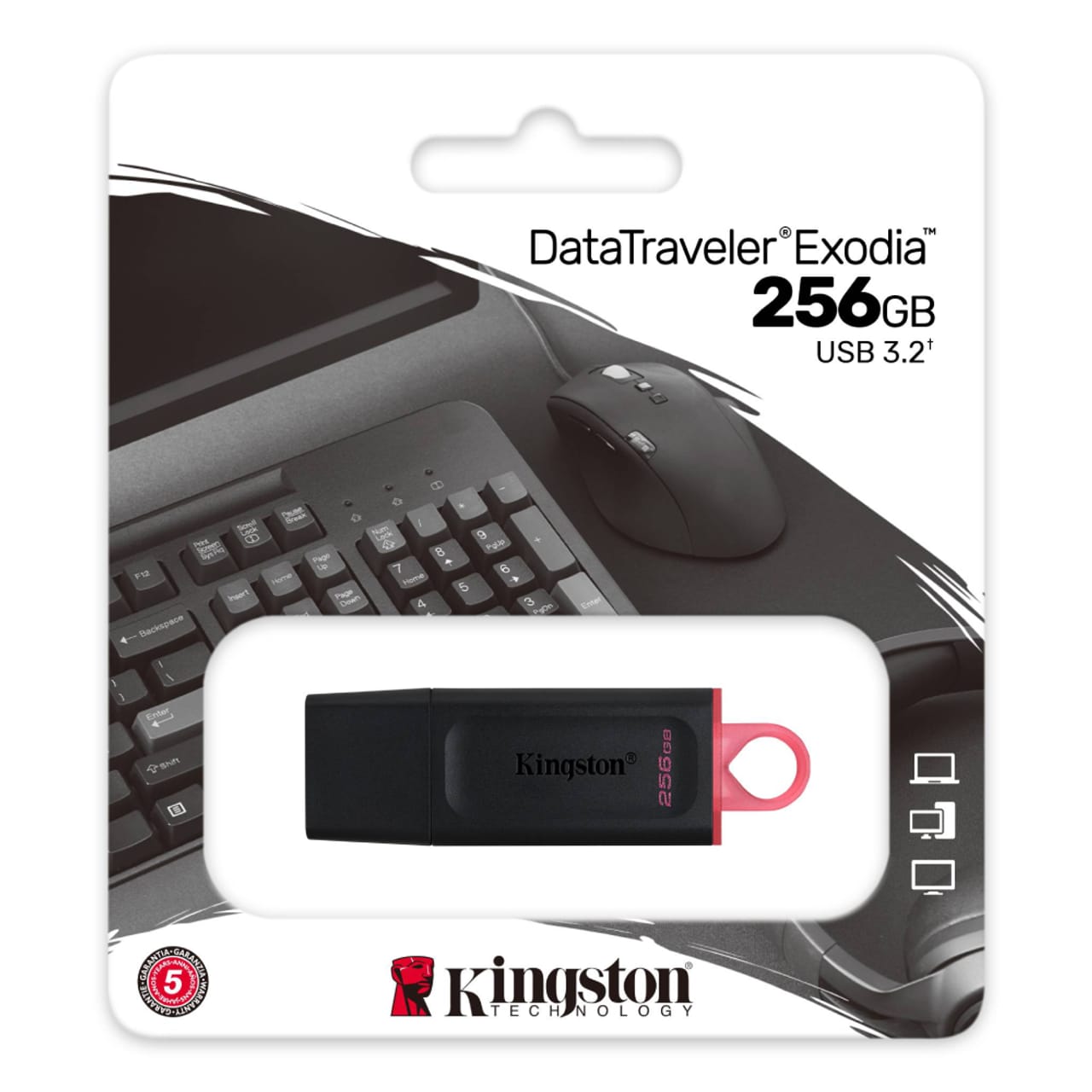 USB KingSton 256Gb